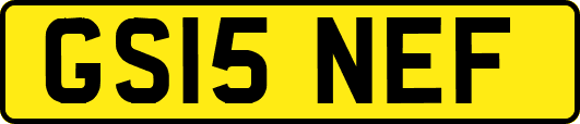 GS15NEF