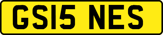 GS15NES