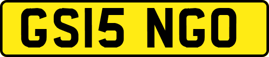 GS15NGO