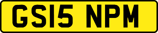 GS15NPM