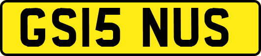 GS15NUS