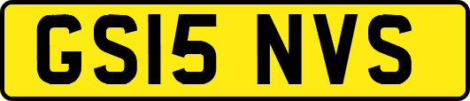 GS15NVS