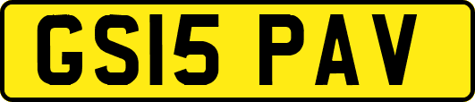 GS15PAV