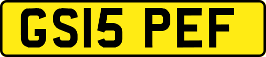 GS15PEF