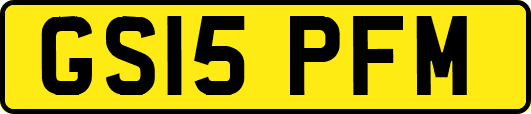 GS15PFM