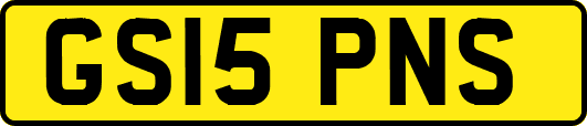 GS15PNS