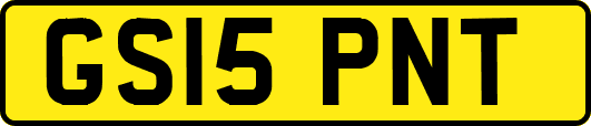 GS15PNT