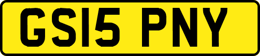 GS15PNY