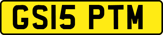 GS15PTM