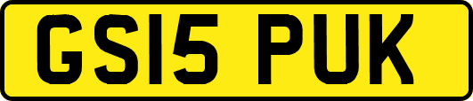 GS15PUK
