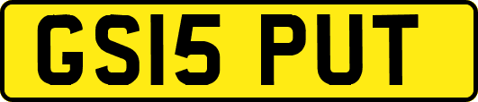 GS15PUT
