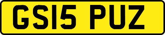 GS15PUZ