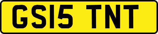 GS15TNT