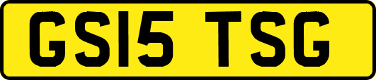 GS15TSG