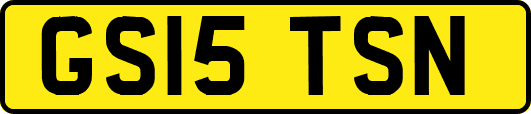 GS15TSN