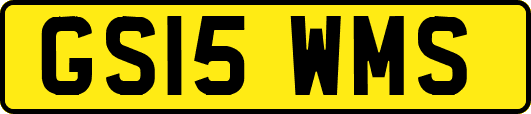 GS15WMS