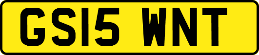 GS15WNT