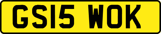 GS15WOK