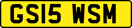 GS15WSM