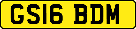 GS16BDM