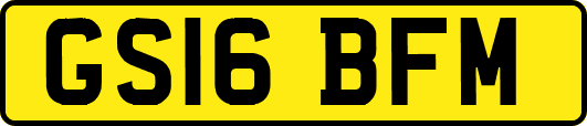 GS16BFM