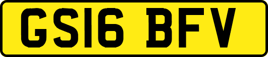 GS16BFV