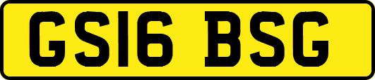 GS16BSG