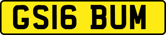 GS16BUM