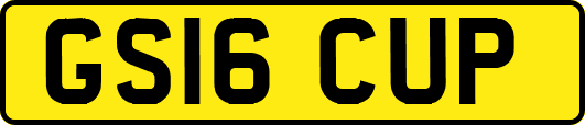 GS16CUP