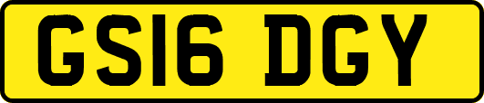 GS16DGY