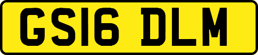 GS16DLM