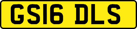 GS16DLS