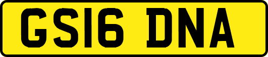 GS16DNA