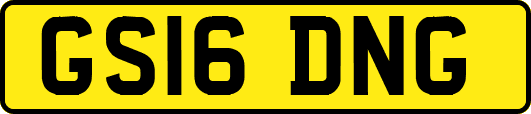 GS16DNG