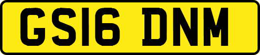 GS16DNM