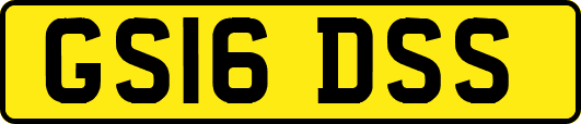 GS16DSS