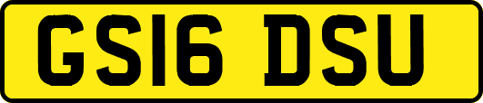 GS16DSU