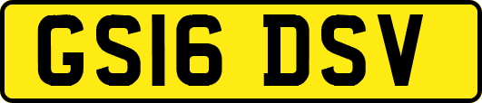 GS16DSV