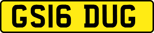 GS16DUG