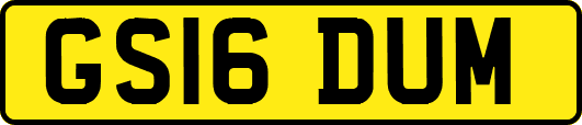 GS16DUM