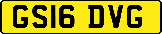 GS16DVG