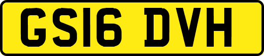 GS16DVH
