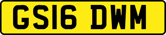 GS16DWM