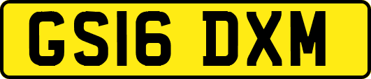 GS16DXM