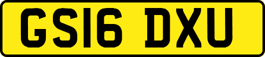 GS16DXU