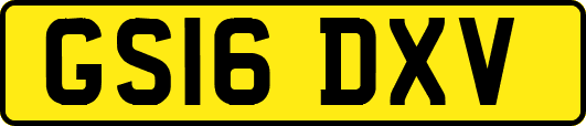 GS16DXV