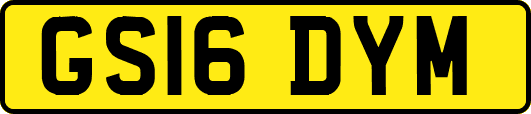 GS16DYM