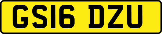 GS16DZU