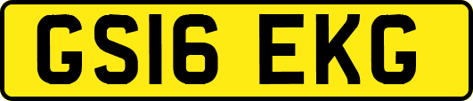 GS16EKG