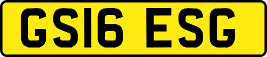 GS16ESG